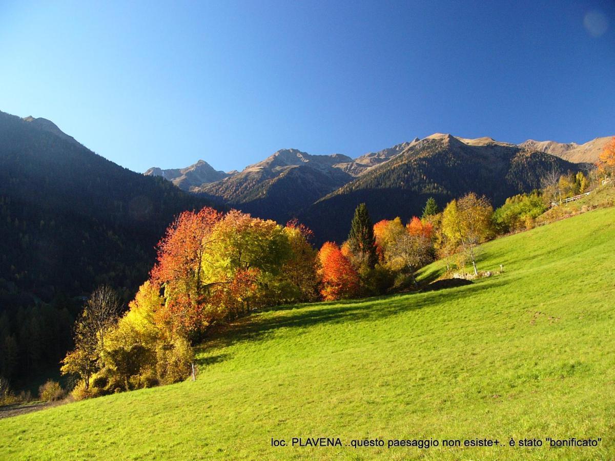 Alpen Garten Hotel Margherita Rumo Luaran gambar