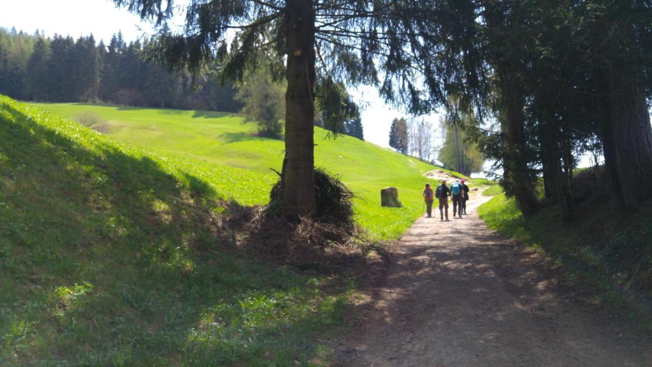 Alpen Garten Hotel Margherita Rumo Luaran gambar